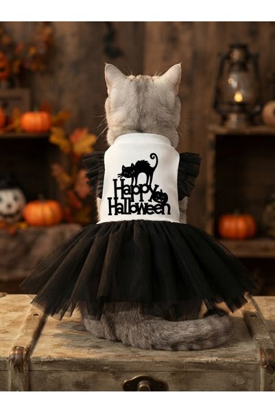 Barneystore Kedi Köpek Cadılar Bayramı Özel Elbise