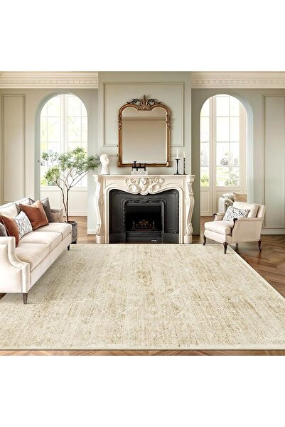 GENERAL Sumotale Washable Area Rug 8X10 Soft Beige Rug for Living Room