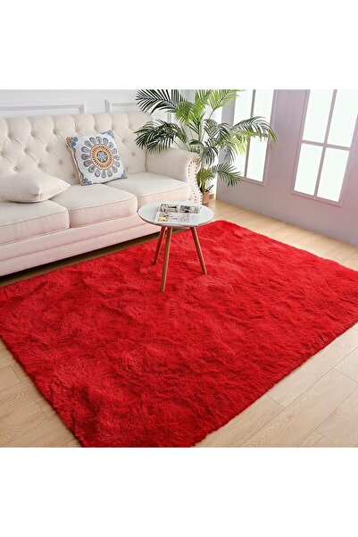 GENERAL Chikrak Soft Velvet Design Area Rug for Living Room and Bedroom 4X6 F...