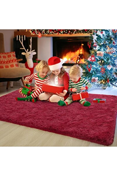 GENERAL Chikrak Soft Velvet Design Area Rug for Living Room and Bedroom 4X6 F...