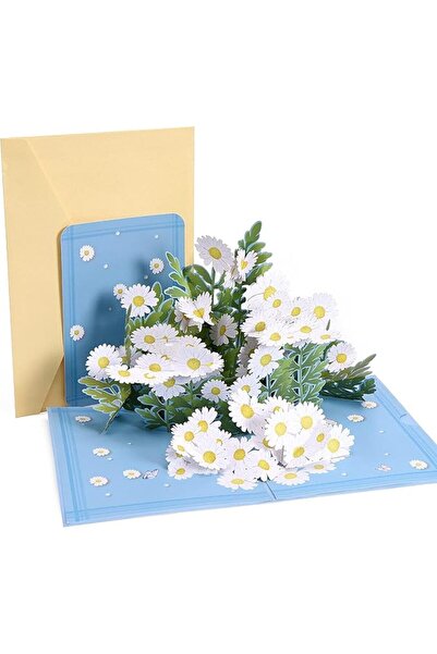 HaveLovely 3D Pop Up Greeting Card, Handmade Daisy Flower Spring Design, Birt...