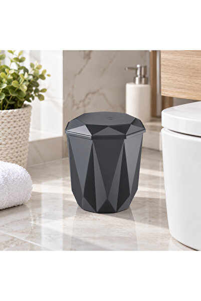 Cazoria 2.5 L Click Dustbin, Anthracite
