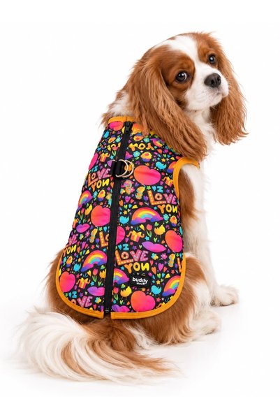 Buddy Store Love Rainbow Siyah Pet Montu / Yağmurluğu Kolay Giydirilebilir Kalıp