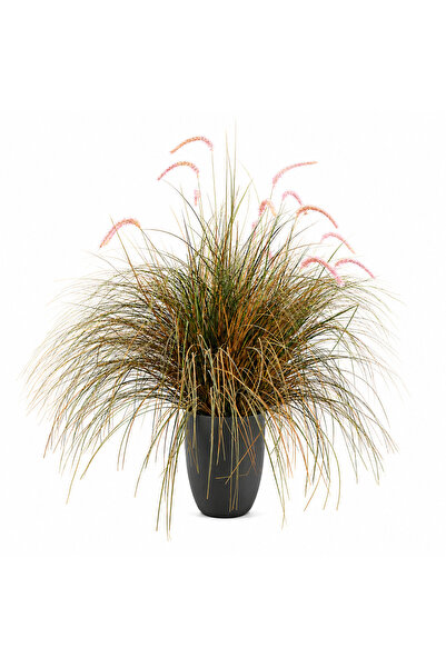 Alessandro DESIGN Planta Artificială Iarbă Ornamentală Tip Coadă de Vulpe, 12...