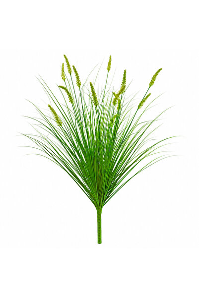 DIGITAL Merchandise Planta Artificiala Iarba Ornamentala Tip Coada Vulpii, 10...