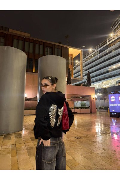 DEEFWEAR Pul İşlemeli Melek Kanatlı Trend Streetwear Femuarlı Hırka/ Streetwear Y2K
