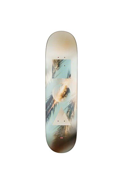 Globe G1 Stack Skateboard Deck Daydream 8.25 inch