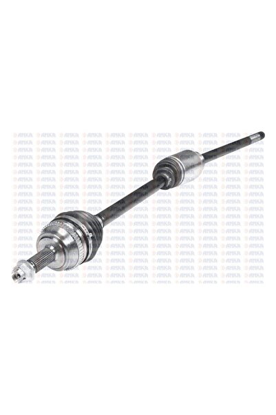 ON AKS SAG MASTER II 2.2DCI / 2.5DCI ABSLI 01 10