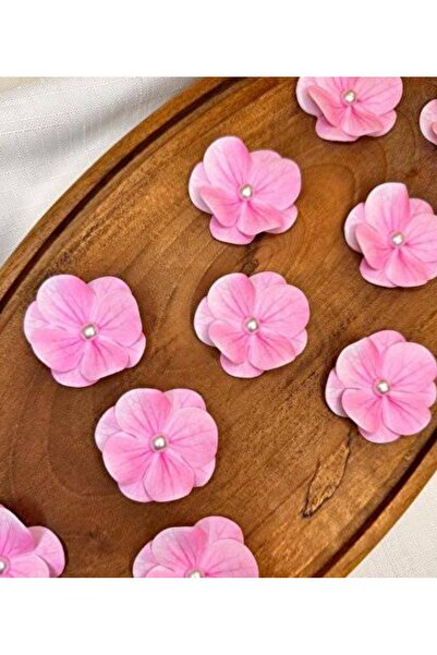 Pembe Islak Ortanca Çiçeği - 25 Adet
