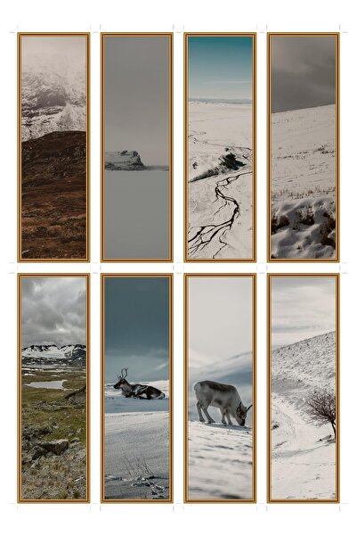 OEM Semne de carte set de 8 cu tema tandra zapada, design elegant, carton pre...