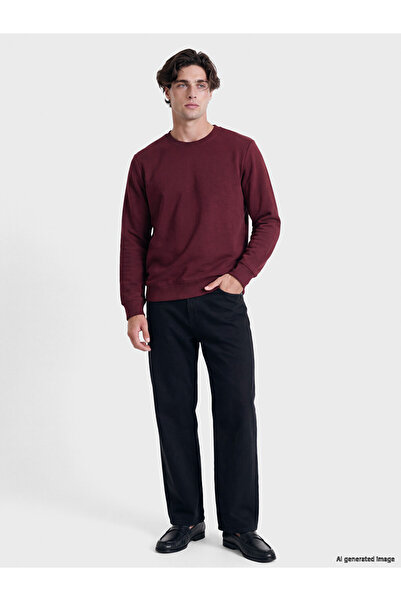 LC Waikiki Esvab • Modern & Distinctive Zero Roba Collar Men's Thick Sweatshirt