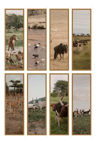 OEM Bookmark Set of 8, Savannah Herd Theme, Colorful Print, Durable Cardboard