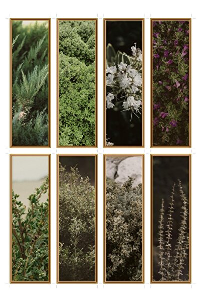 OEM Set 8 semne de carte temă tufiș chaparral, design , carton premium, mulaj...