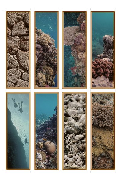 OEM Semne de Carte Set de 8 cu Tema Perete Coral, Accesorii Elegante pentru C...