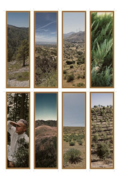 OEM Set of 8 bookmarks with chaparral habitat theme, durable cardboard, desig...