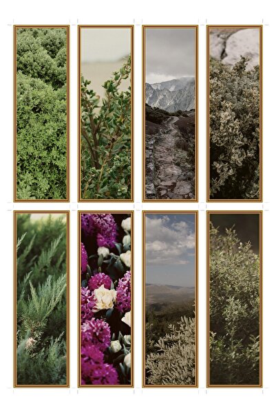 OEM Set of 8 chaparral plant themed bookmarks, durable premium cardboard, bot...