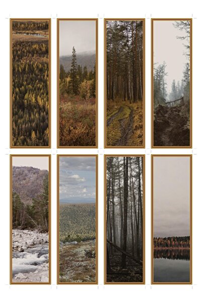 OEM Set 8 semne de carte tematica fotografie taiga, peisaj padure boreala, ca...
