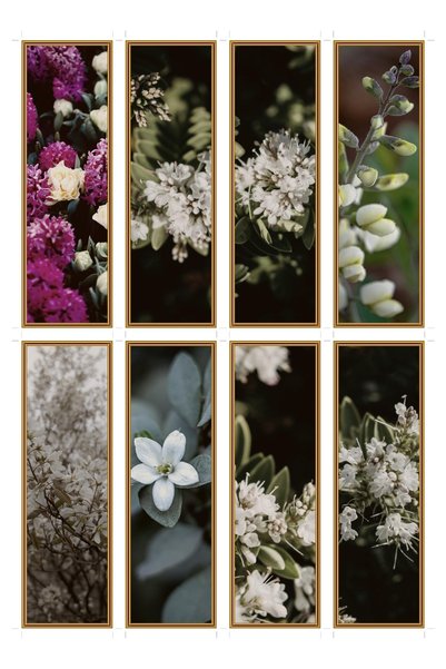 OEM Set de 8 semne de carte cu tematică flori de chaparral, design floral ele...