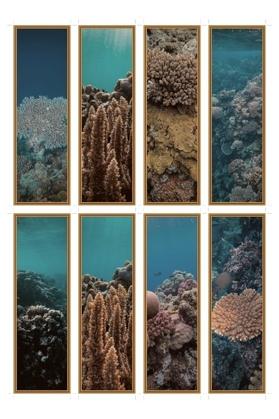 OEM Set 8 semne de carte gradina de coral, design elegant, carton premium, ac...