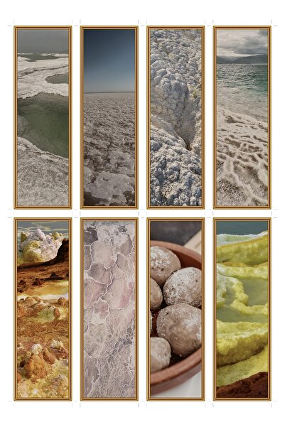 OEM Set of 8 Salt Crust Themed Bookmarks, Unique Design, Durable Cardboard