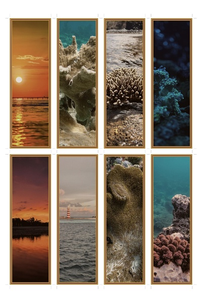 OEM Semne de Carte Set de 8 Bucăți, Tematică Apusuri de Coral, Carton Premium...