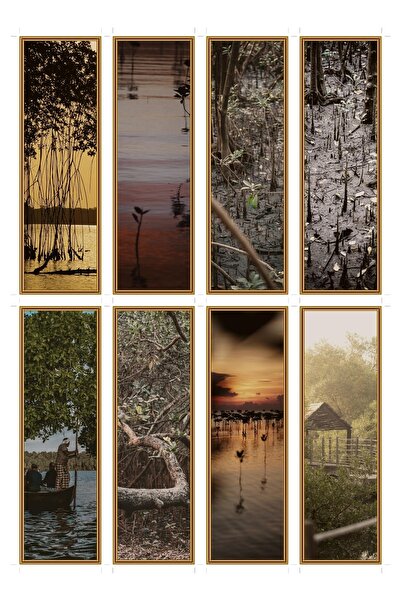 OEM Set 8 semne de carte cu tema dupa-amieze in mangrove, carton premium, des...