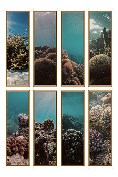OEM Semne de Carte Set de 8 Dimineți de Coral, Design Elegant, Carton Premium