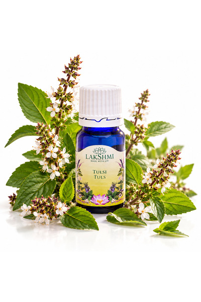 Lakshmi Ulei esențial de Tulsi (Ocimum sanctum) 10 ml, 100% pur și organic, c...