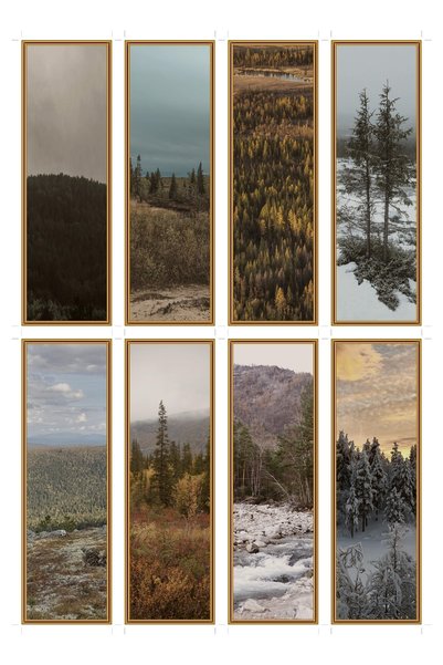 OEM Semne de Carte Set de 8 Furtuni in Taiga, Design Peisaj de Iarna, Carton ...
