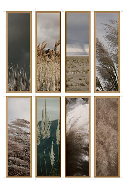 OEM Set 8 Semne de Carte, Tema Furtuni de Pampas, Design Elegant, Carton Premium
