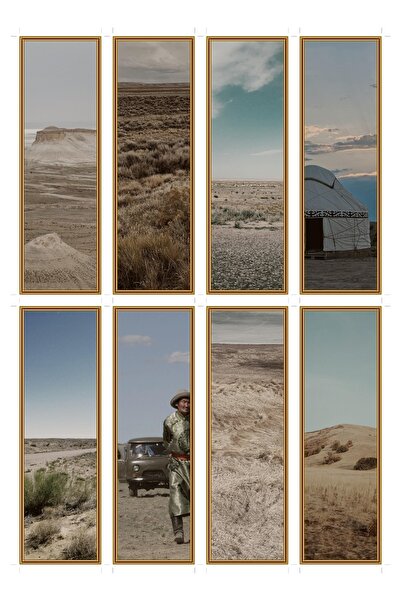 OEM Set of 8 bookmarks, Winds of the Steppe theme, design inspired by nature,...