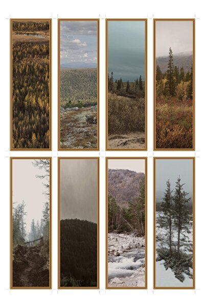 OEM Set of 8 Taiga Winds Themed Bookmarks, Unique Design, Durable Cardboard