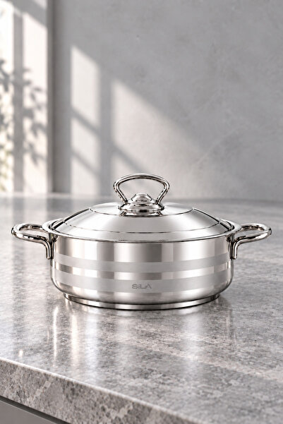Elegance Silver 24 cm Kapaklı Basık Tencere