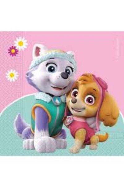 Generic Paw Patrol Skye & Everest Paper Napkins – 33x33 cm Large 2-Ply Party ...