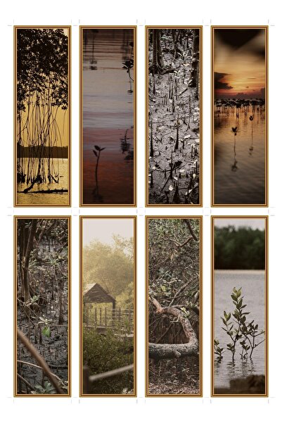 OEM Set 8 semne de carte ceata de mangrovi, design peisaj exotic, carton premium
