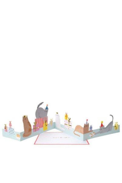 Generic Cat Party Birthday Card