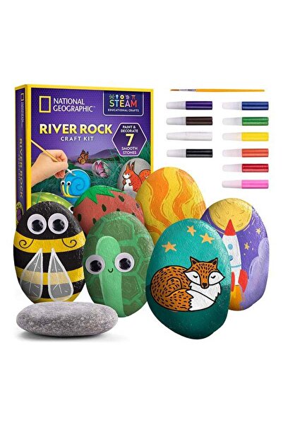 Generic Blue Marble Rock Painting Activity Kit
