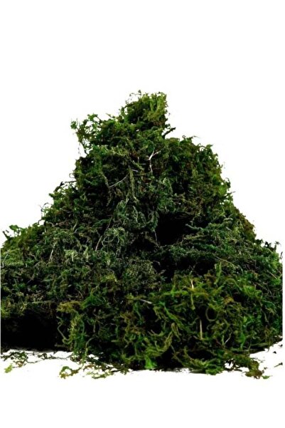 Generic Artificial Moss grass for Potted Plants & DIY Crafts - Fake Green Gra...