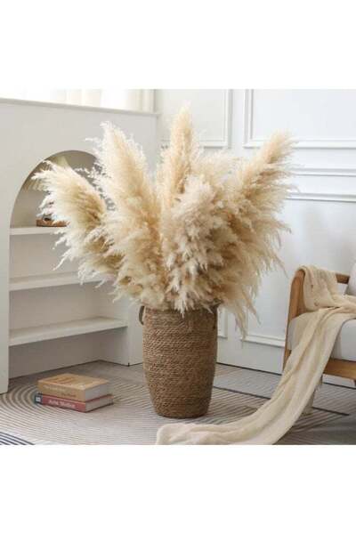 Generic Natural Pampas Grass Decor Tall 120cm 10 Stems Reed Grass Pampas Gras...