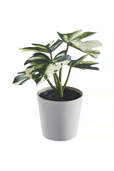 Generic Artificial Monstera Plant in Pot – Desk or Shelf Decor, Indoor & Outd...
