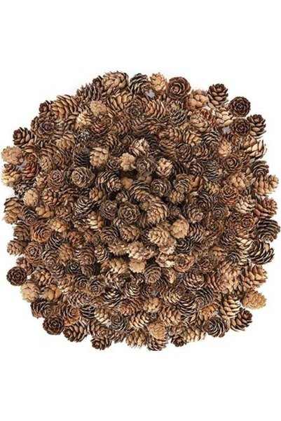 Generic 200 PCS Small Pine Cones, Natural Pine Cones for Crafts, Brown Pineco...