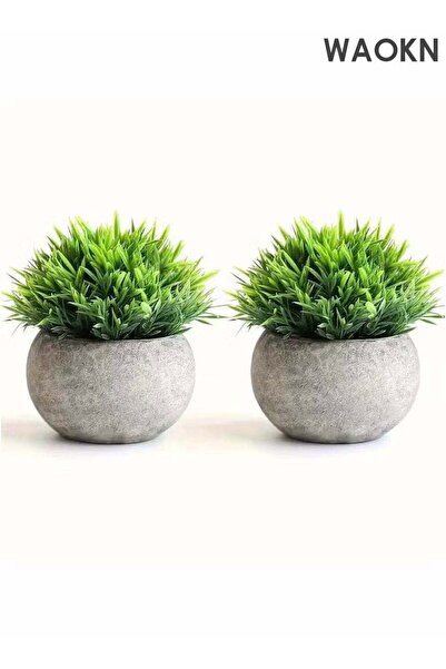 Generic Mini Artificial Plants Set, DIY Green Plant 2 Pcs Small Fake Plants f...