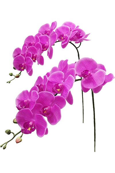 Generic Artificial Phalaenopsis Orchid Stems, Real Touch Latex Faux Flowers, ...