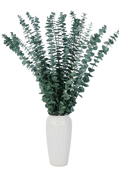 Generic 20 Pcs Dried Preserved Eucalyptus Stems 17" Natural Green Plant Made ...