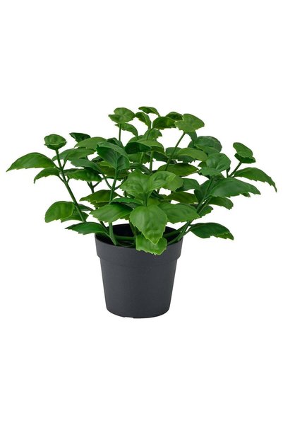 Generic Artificial Potted Basil Herb Plant, In/Outdoor, Green, 9 cm Pot