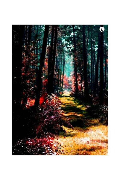 Generic Jungle Themed Decorative Metallic Plate Pink/Green/Blue 20x15cm