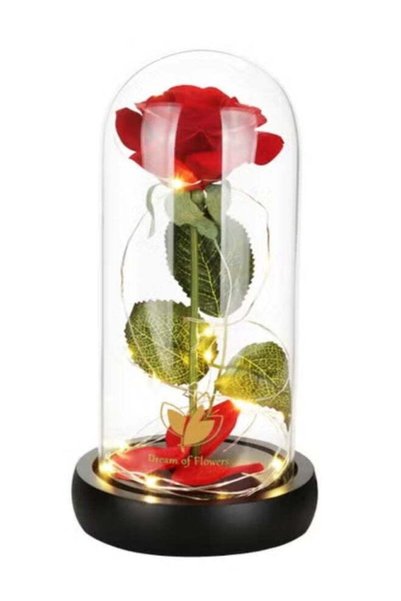 Generic Beauty and The Beast Rose, Rose Flower Gifts for Women, Gifts for Her...
