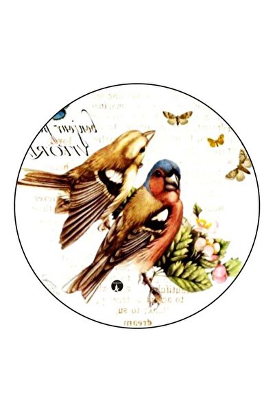 Generic Bird Printed Fridge Magnet Brown/Green/White 5.5cm