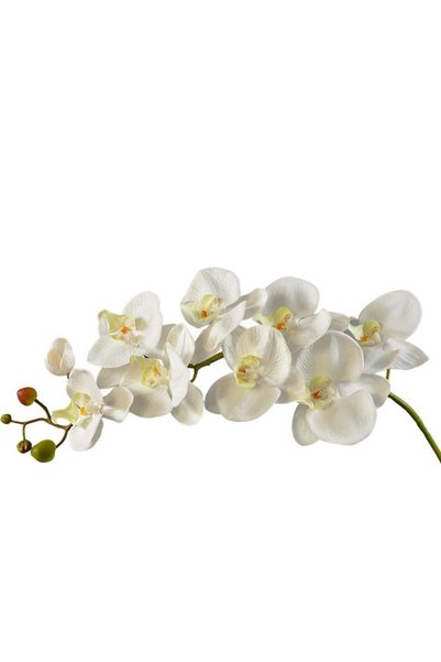 Generic Artificial Phalaenopsis Flowers Branches, Real Touch Butterfly Orchid...
