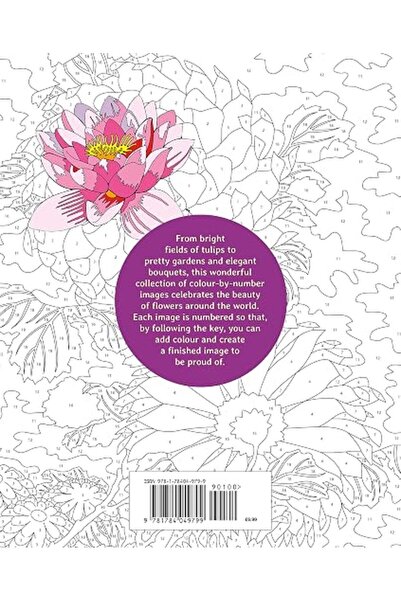 GENERAL Flowers Colour by Numbers